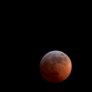 Meet your Posher, Rhianna